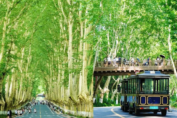 Thành phố Nam Kinh (Nanjing), Trung Quốc